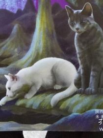 猫武士：月光之路