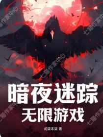 暗夜迷踪：无限游戏