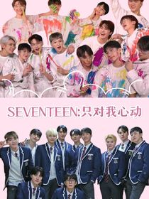 SEVENTEEN：只对我心动