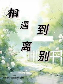 相遇到离别