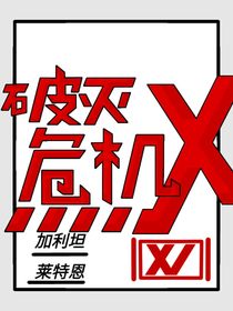 破灭危机X