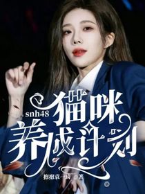 snh48：猫咪养成计划