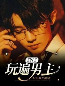 TNT：玩遍男主