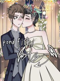 因为苏涛看够了，所以更成涛苏