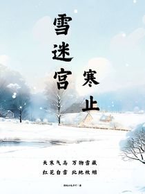 雪迷宫：寒止