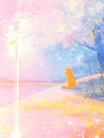 芷琳