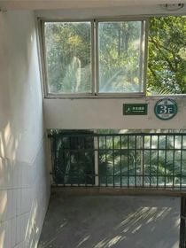 还想再看你