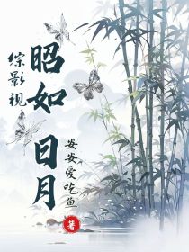 综影视：昭如日月