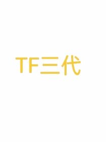 TF三代的爱恨情仇CP版