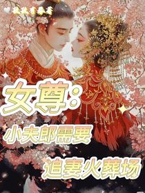 女尊：小夫郎需要追妻火葬场