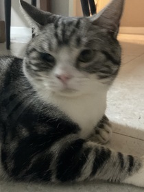 阴暗的爬行-d427