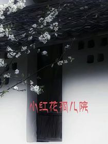 小红花孤儿院