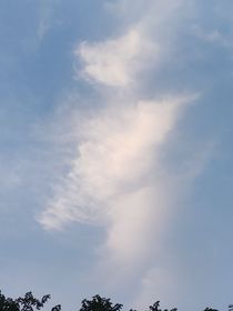 昨夜梦回千秋重