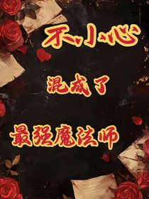 不小心混成了最强魔法师