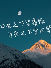 姐姐的驳婚煞