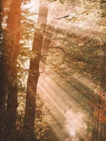 精美头像短句文案合集