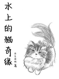 水上的猫奇缘