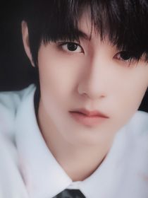 朱志鑫：占有
