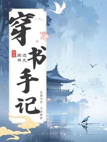 穿书手记