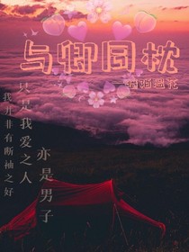 与卿同枕