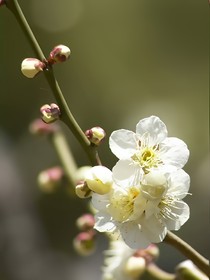 三清仙境