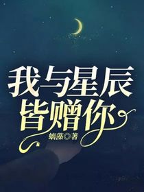 我与星辰皆赠你