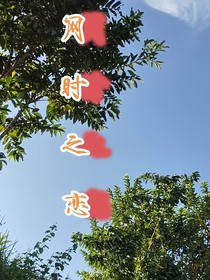 网时之恋