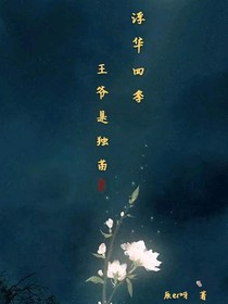 浮华四季—王爷是独苗