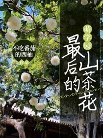 萌学园：最后的山茶花