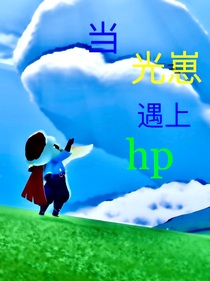 当光崽遇上hp