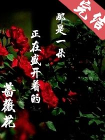 小可怜的双面剧本（ABO）