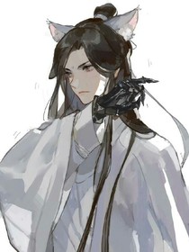 二哈与他的白猫师尊同人