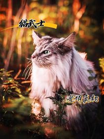 猫武士——光明真相