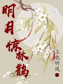 明月惊林鹊