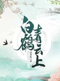 白鹤青云上