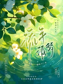 流年清梦