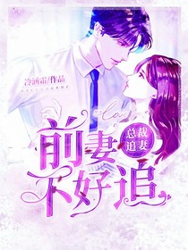 总裁追妻：前妻不好追