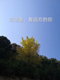 在这里，看远方的你