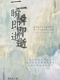 一瞬即逝：轮回