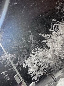 荆棘满途（原创）