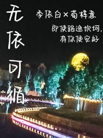 无依可循