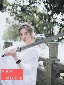 梨花赋（武侠小说）