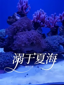 溺于夏海