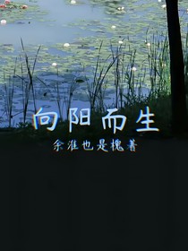 无限流，向阳而生