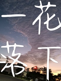 一花落下