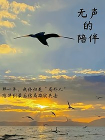 无声陪伴