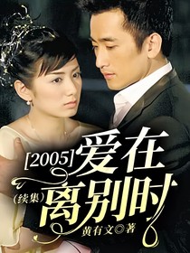 2005爱在离别时（续集）