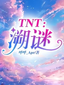 TNT：溯谜