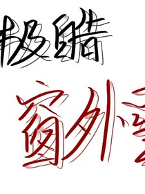 极皓：窗外雪