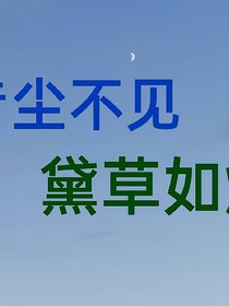 音尘不见，黛草如烟